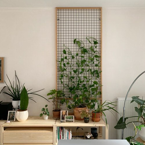 Indoor Plant Wall Decor Ideas 5