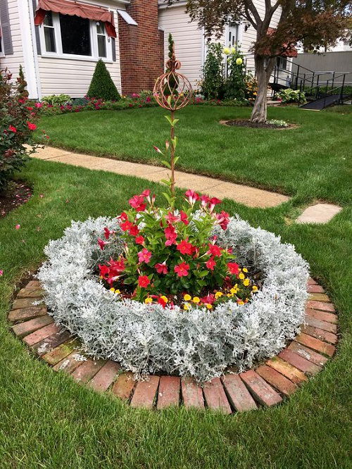 dusty miller landscaping in frontyard