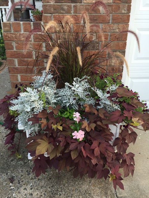 Fall Planter With Dusty Miller