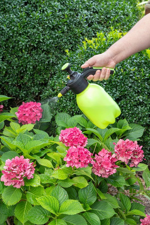 using nitrogen fertilizer for container garden 