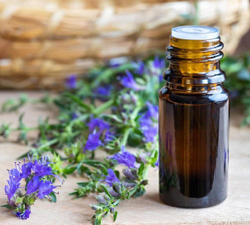 Hyssop Herb oil Benefits