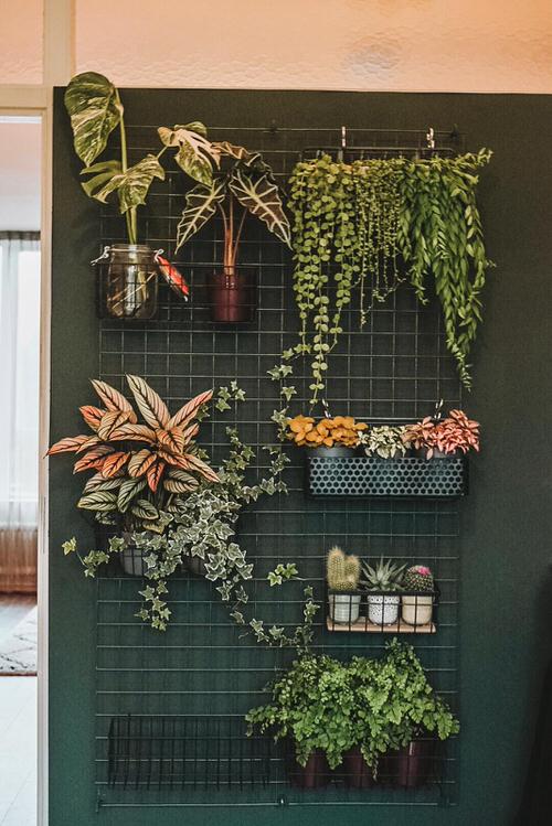 Indoor Plant Wall Decor Ideas 8