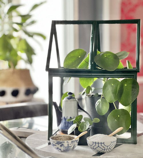 Mini Tabletop Greenhouse