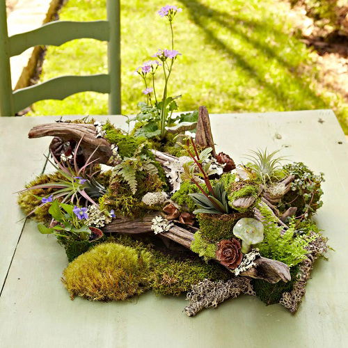 Woodland Garden for Tabletop